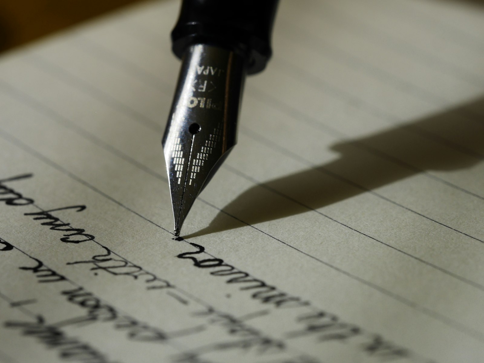 Traduttore Editoriale