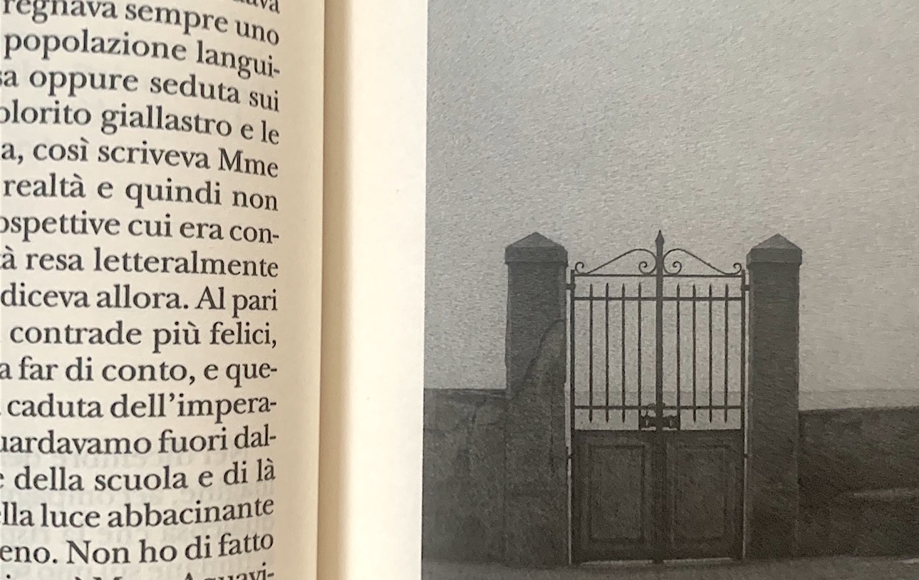 sebald4 1