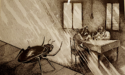 metamorfosi 2